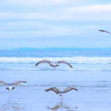 Rumah Kami - Aan Zee *