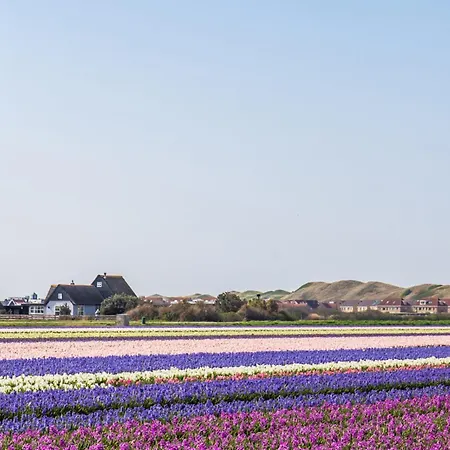 Rumah Kami - Aan Zee *