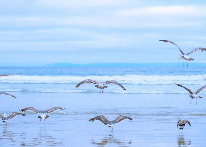 Rumah Kami - Aan Zee *